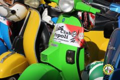 IMG_0800_low