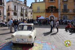 IMG_0808_low