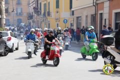 IMG_0906_low