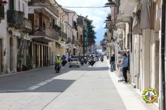 IMG_0912_low