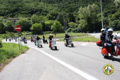 IMG_0945_low