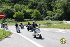 IMG_0949_low