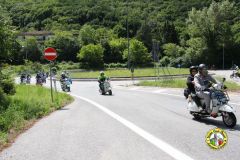 IMG_0953_low
