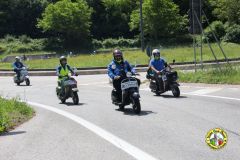 IMG_0956_low