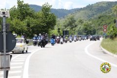 IMG_0966_low