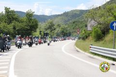 IMG_0971_low