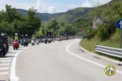 IMG_0973_low