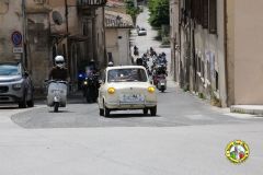 IMG_1014_low