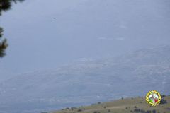 IMG_1146_low