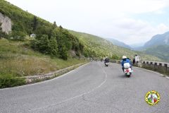 IMG_1176_low